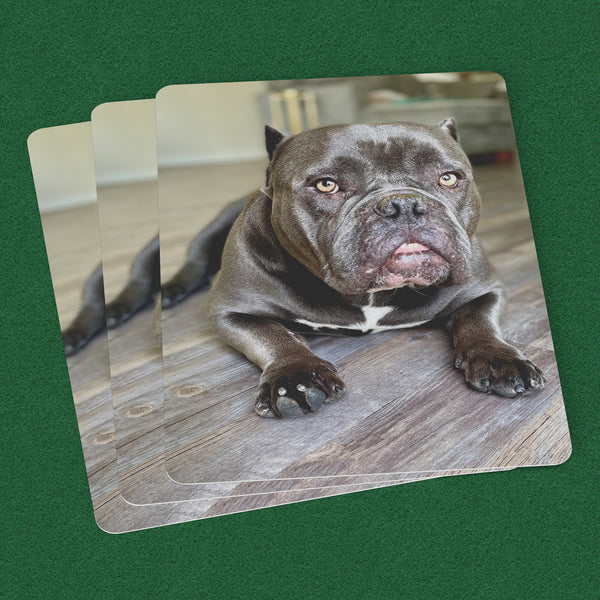 Custom Playing Cards Personalized Photo Playing Cards Poker Cards Unique Playing Cards Playing Cards Deck