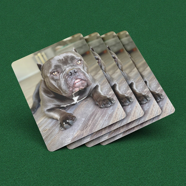 Custom Playing Cards Personalized Photo Playing Cards Poker Cards Unique Playing Cards Playing Cards Deck