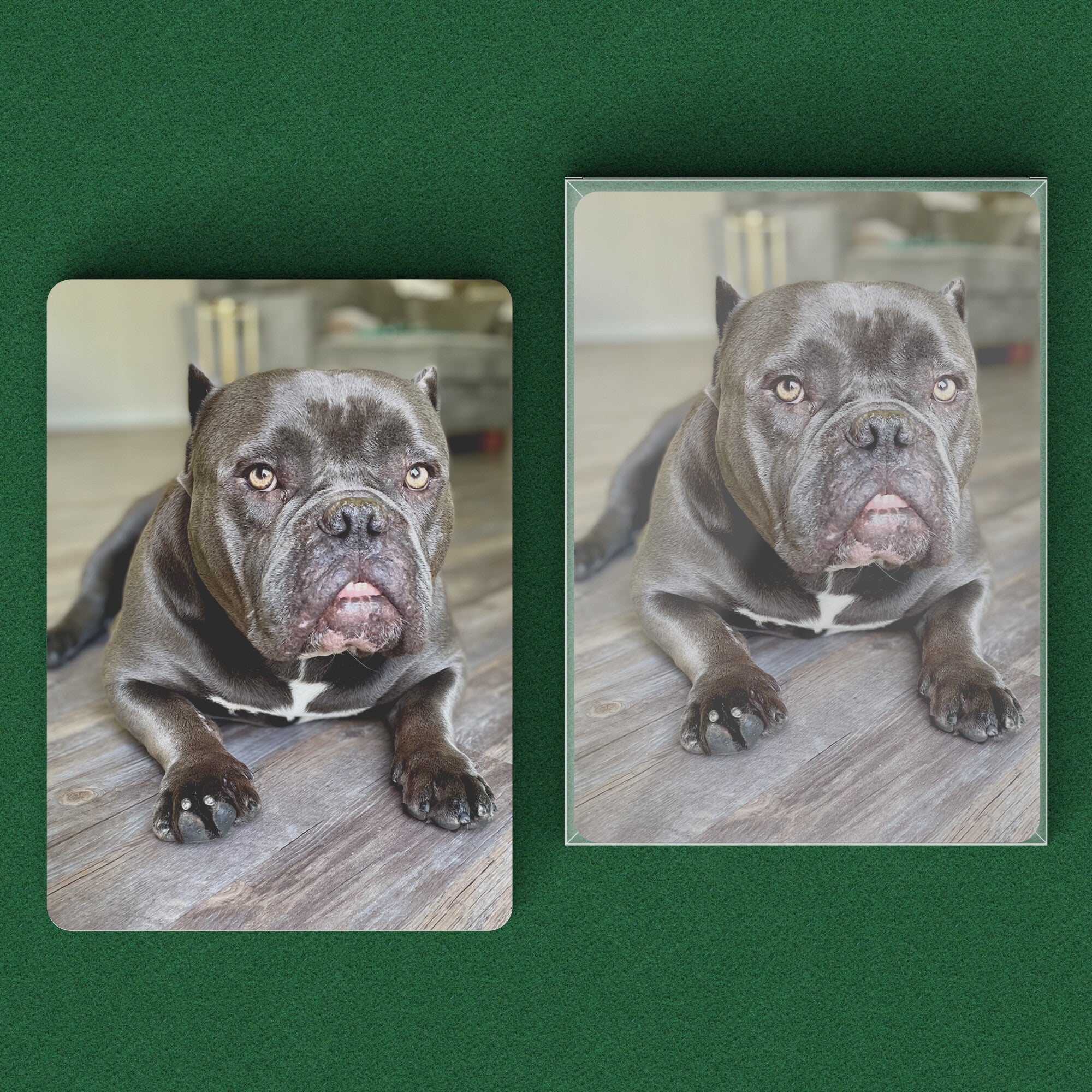 Custom Playing Cards Personalized Photo Playing Cards Poker Cards Unique Playing Cards Playing Cards Deck