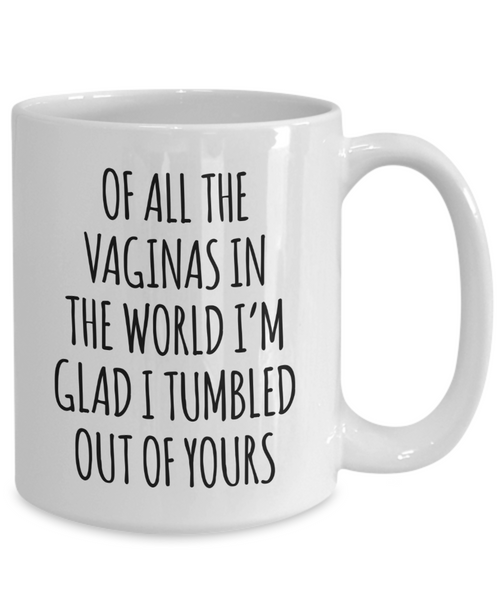 Mother's Day Mug Of All the Vaginas in the World I'm Glad I Tumbled Out of Yours Coffee Cup