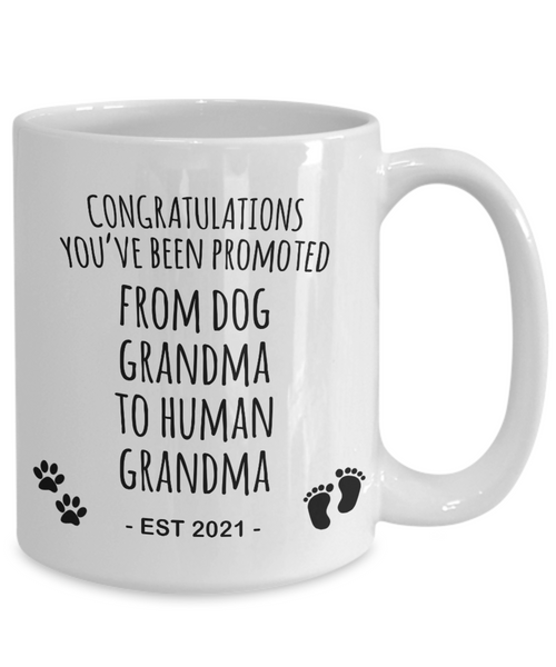Promoted From Dog Grandma To Human Grandma Mug Est 2021 Pregnancy Reveal Announcement New Baby Coffee Cup