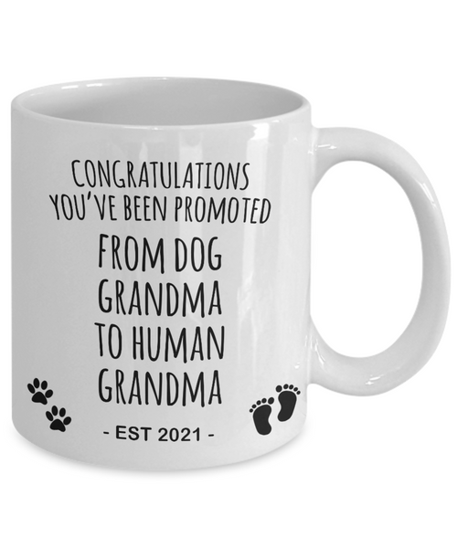 Promoted From Dog Grandma To Human Grandma Mug Est 2021 Pregnancy Reveal Announcement New Baby Coffee Cup