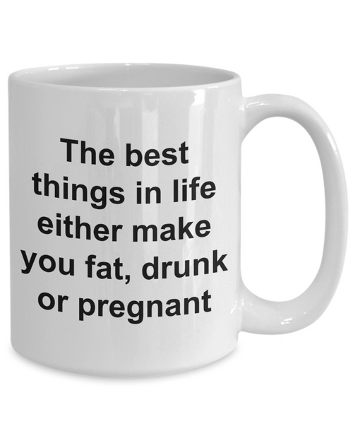 Funny Coffee Mug Gifts - The Best Things in Life Either Make You Fat, Drunk or Pregnant Ceramic Coffee Cup-Cute But Rude