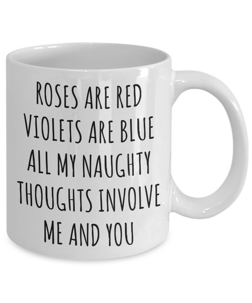 Roses are Red Violets are Blue All My Naughty Thoughts Involve Me and You Mug Funny Valentine's Day Coffee Cup-Cute But Rude