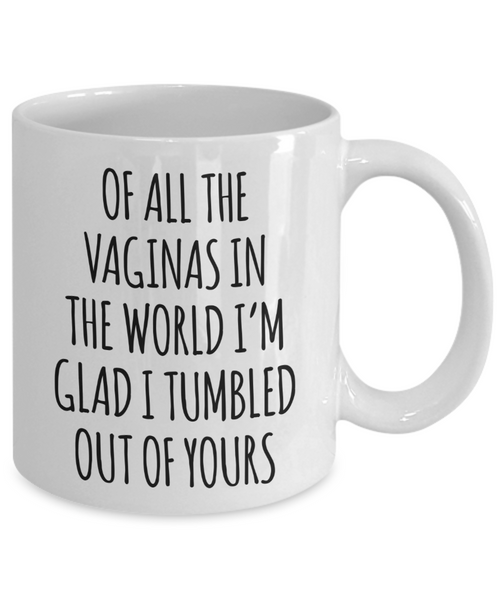 Mother's Day Mug Of All the Vaginas in the World I'm Glad I Tumbled Out of Yours Coffee Cup