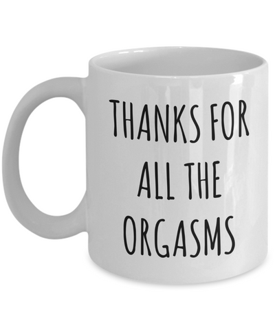 Valentines Day Gift Idea Thanks For All The Orgasms Mug Funny Coffee Cup-Cute But Rude