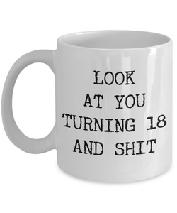 18th Birthday Gifts Funny Birthday Gift Ideas For Happy 18th Birthday Party Mug 18th Bday Gifts Birthday Gag Gifts Look at You Mug Coffee Cup-Cute But Rude