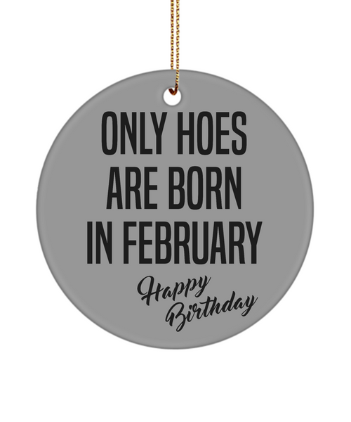Funny Happy Birthday Mug for Her Only Hoes are Born in February Birthday Ceramic Ornament