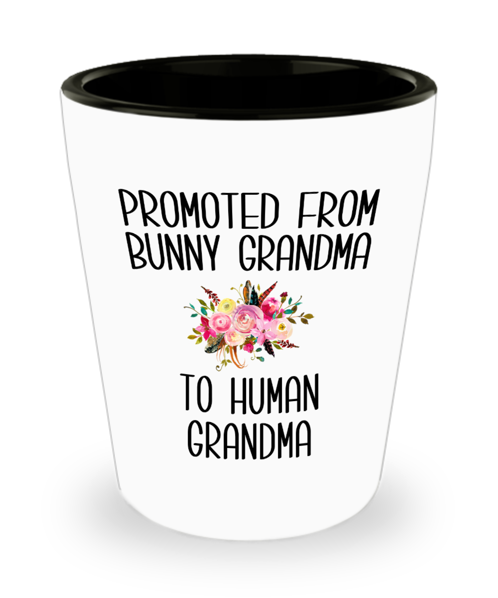 Promoted From Bunny Grandma To Human Grandma Shot Glass Rabbit Grandma Pregnancy Announcement Mother in Law Reveal Gift for Her Rabbit Lover