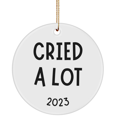 Funny 2023 Ornament, Best Friend Ornament, BFF Gift, Sarcastic Ornaments, Cried A Lot, Christmas Tree Ornament