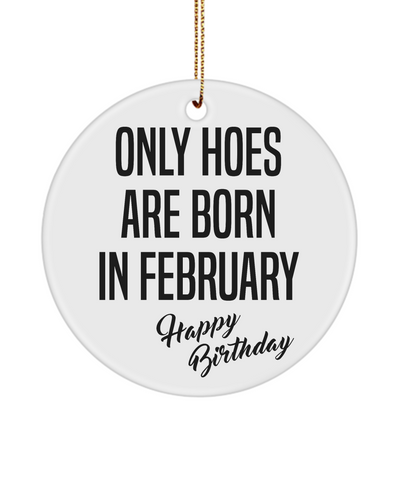 Funny Happy Birthday Mug for Her Only Hoes are Born in February Birthday Ceramic Ornament