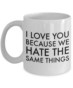 Boyfriend Anniversary Gifts for Your Girlfriend Wife Anniversary Gift Husband Anniversary Gifts I Love You Because We Hate the Same Things Coffee Mug-Cute But Rude