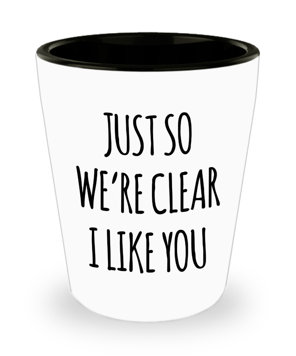 I Like You Shot Glass for a Crush Just So We're Clear Valentine Shot Glasses