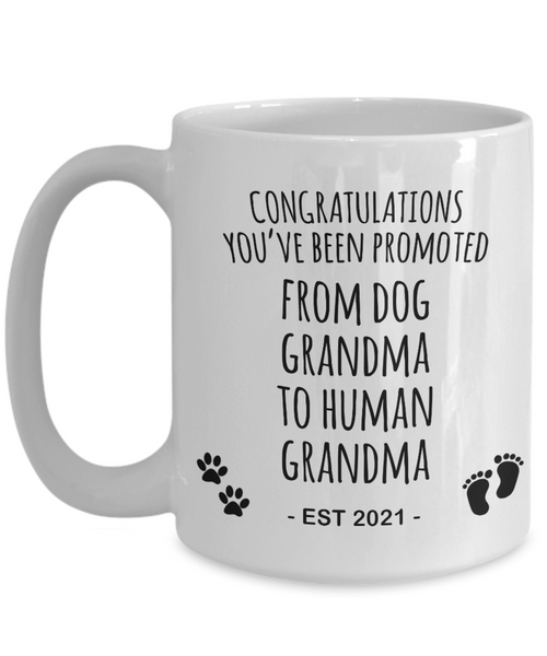 Promoted From Dog Grandma To Human Grandma Mug Est 2021 Pregnancy Reveal Announcement New Baby Coffee Cup