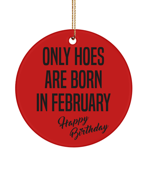 Funny Happy Birthday Mug for Her Only Hoes are Born in February Birthday Ceramic Ornament