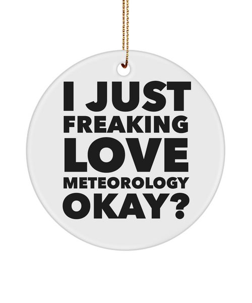 Meteorologist I Just Freaking Love Meteorology Okay Ceramic Christmas Tree Ornament