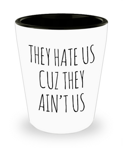Social Media Influencer Gift They Hate Us Cuz They Ain't Us Mug Funny Ceramic Shot Glass