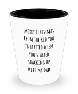 Stepmom Christmas Present Stepmother Gift for Stepmoms Funny Merry Christmas from the Kid You Inherited When You Started Shacking with My Dad Ceramic Shot Glass