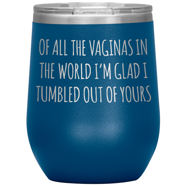 Funny Mother's Day Wine Tumbler Of All the Vaginas Stemless Insulated Wine Tumbler BPA Free 12oz