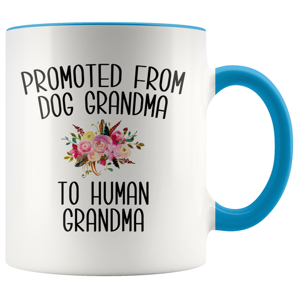 Promoted From Dog Grandma To Human Grandma Coffee Mug Grandma Pregnancy Announcement Cup Mother in Law Reveal Gift for Her