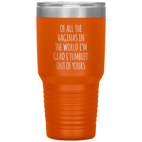 Funny Mother's Day Tumbler Of All the Vaginas in the World Tumbler Travel Coffee Cup BPA Free