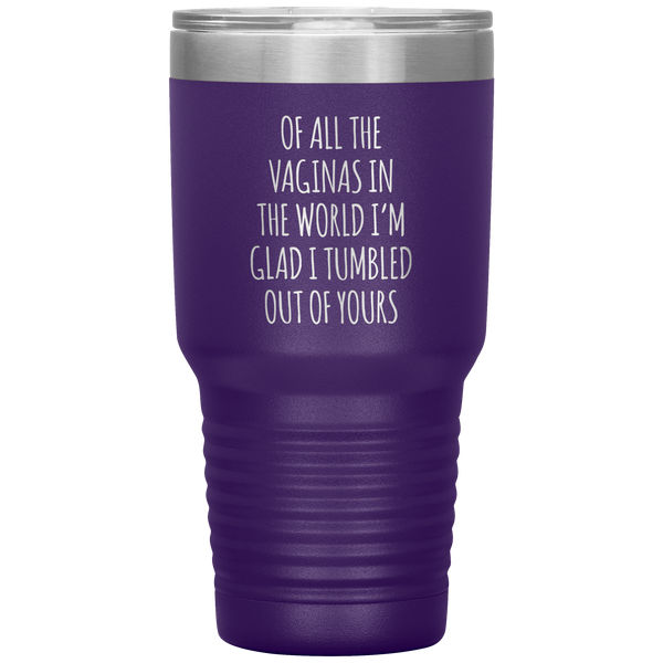 Funny Mother's Day Tumbler Of All the Vaginas in the World Tumbler Travel Coffee Cup BPA Free