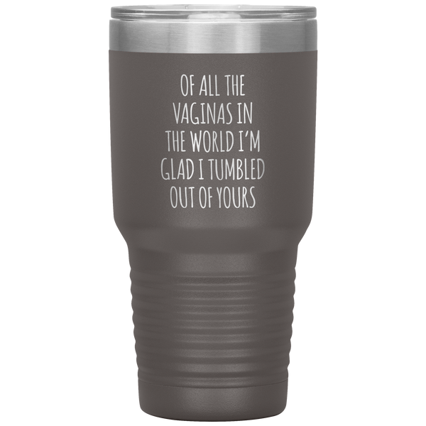 Funny Mother's Day Tumbler Of All the Vaginas in the World Tumbler Travel Coffee Cup BPA Free